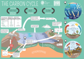 carbon cycle poster